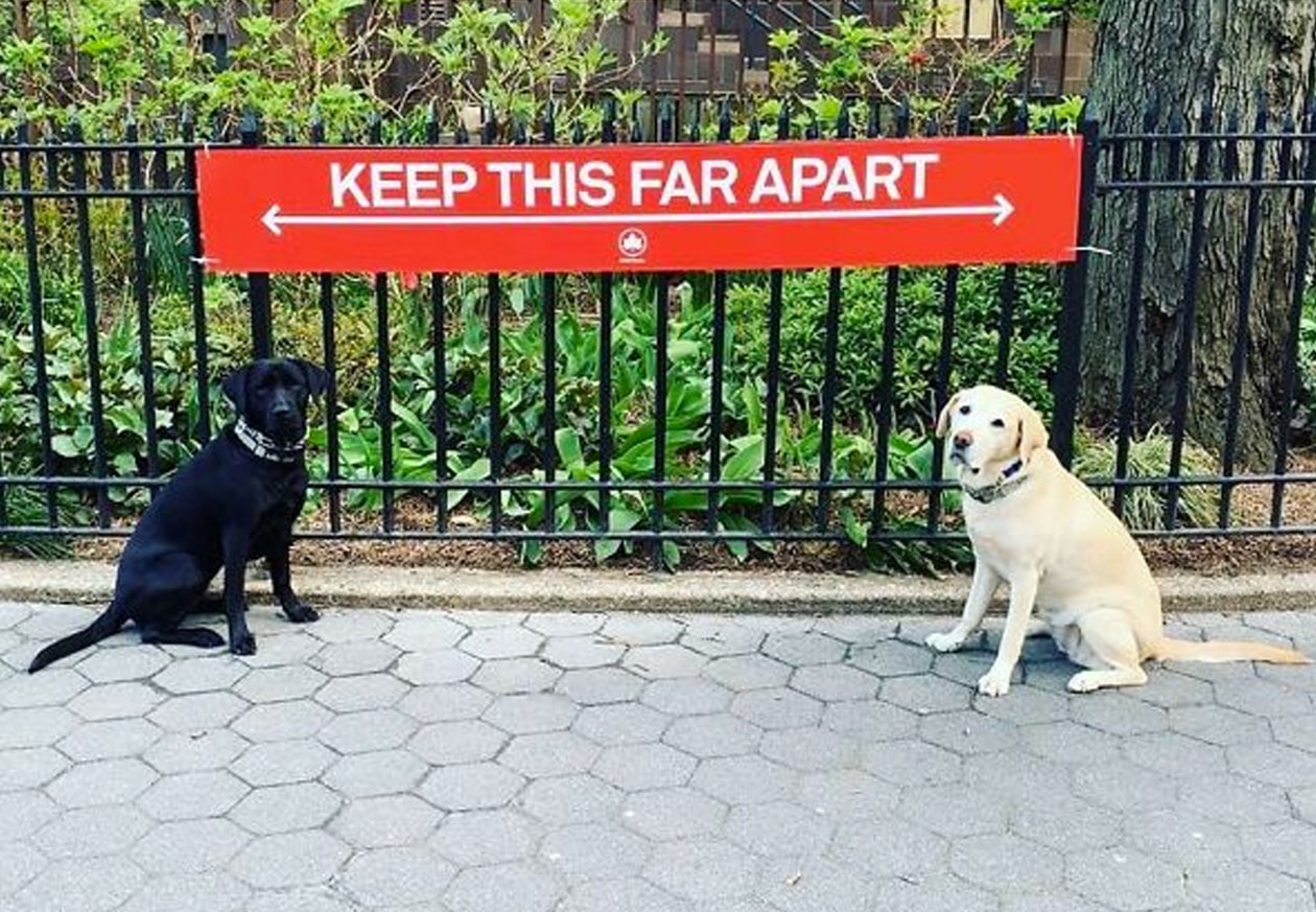 banner image