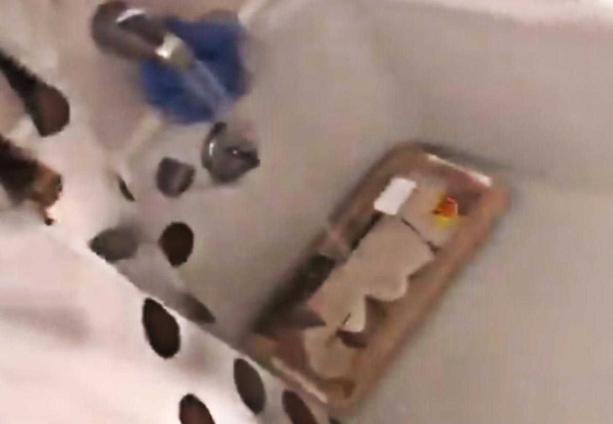 banner image