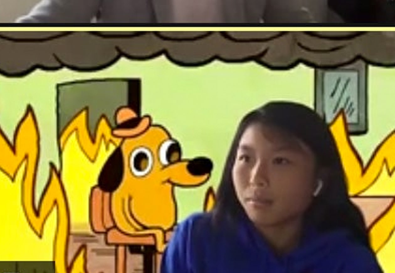 banner image